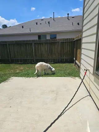 Casper