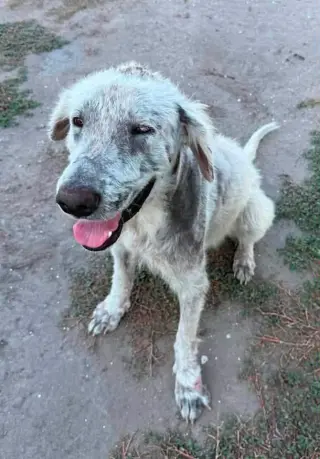 Casper