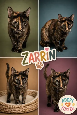 Zarrin (FCID# 08/04/2026 - 32 Brandywine PS)