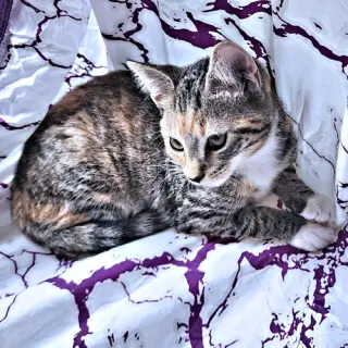 Valerie