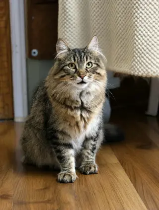 Spud