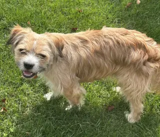 Frankie