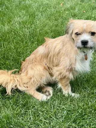 Frankie