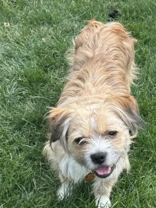 Frankie