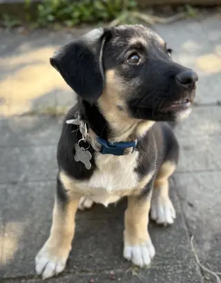 Bobby
