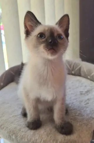 Sonny
