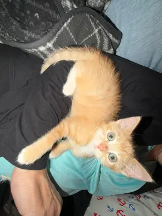 Bobby- not at the shelter (Jen)