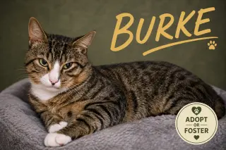 Burke (FCID# 07/27/2026 - 7 Glen Mills PS)
