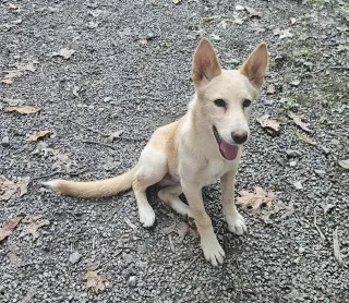 Stevie Nicks - In Foster, Call to meet!