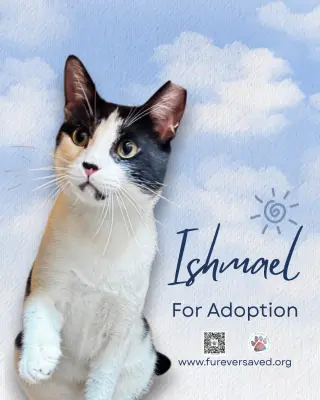 Ishmael