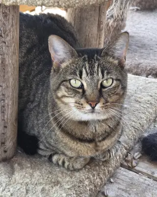 Spicy (Really a Sweety!)