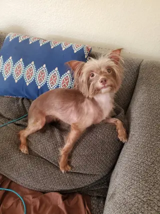 Mollie