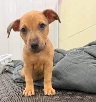 Tuck- in a foster home
