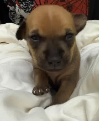 Tuck- in a foster home