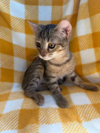 Carla