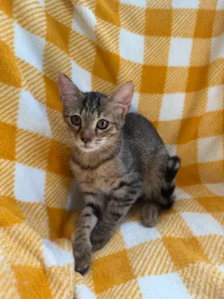 Carla