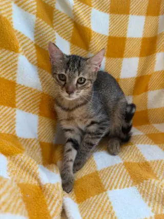 Carla