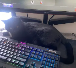 Juniper