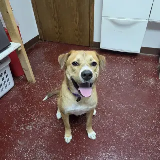 Ernie