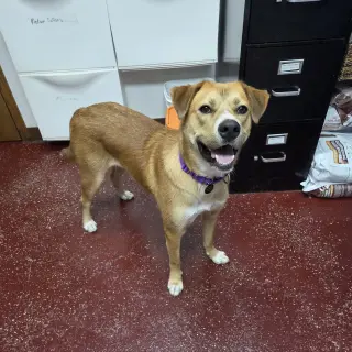 Ernie