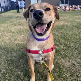 Ernie