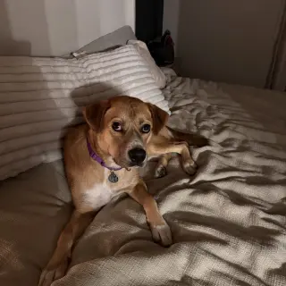 Ernie