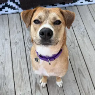Ernie