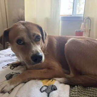 Ernie