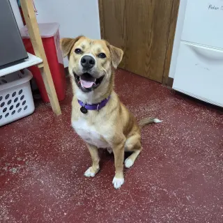 Ernie