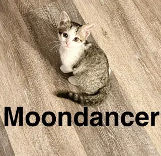 Moondancer