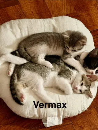 Vermax