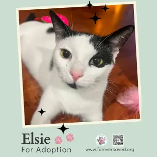 Elsie