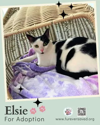 Elsie