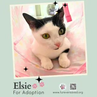 Elsie