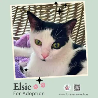 Elsie