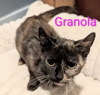 Granola