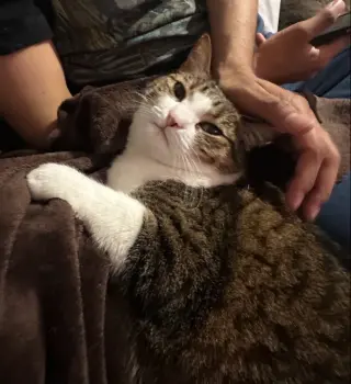 Tabitha