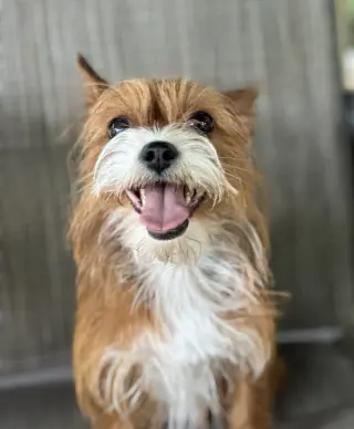Chloe
