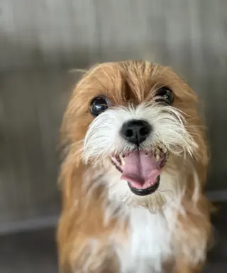 Chloe