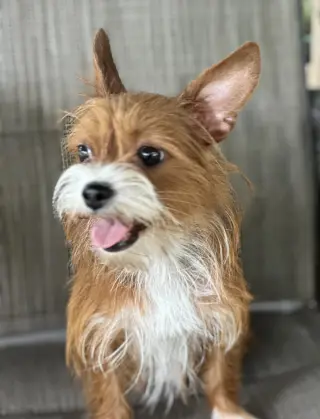 Chloe