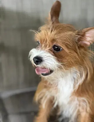 Chloe