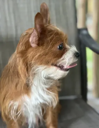 Chloe