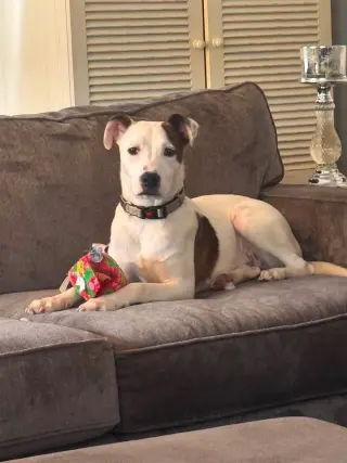 Charlie