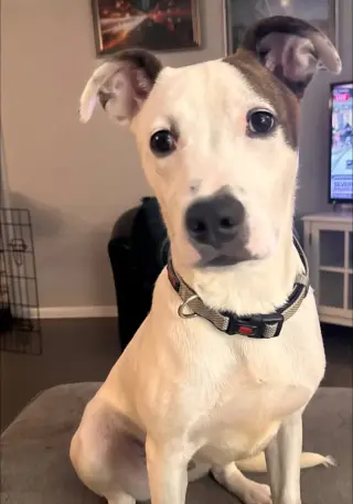 Charlie