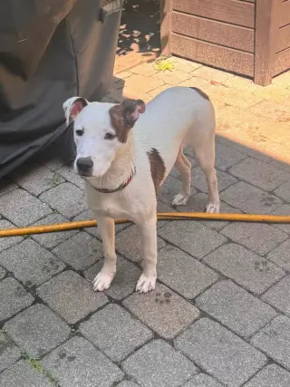 Charlie