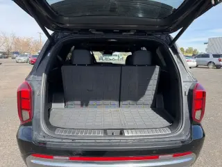 Hyundai PALISADE 2024 AWD Calligraphy 4dr SUV