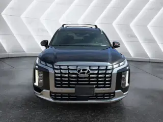 Hyundai PALISADE 2024 AWD Calligraphy 4dr SUV