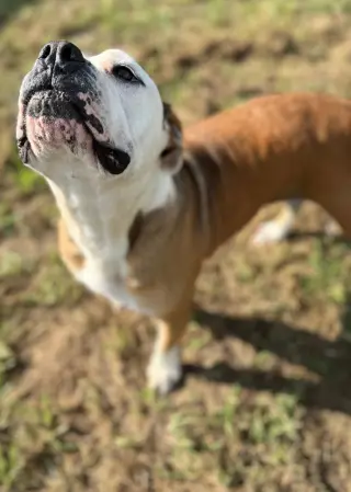 Ruby Monday