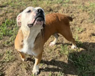 Ruby Monday