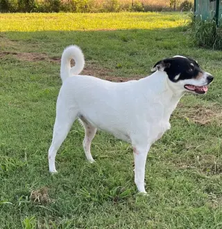 Margo
